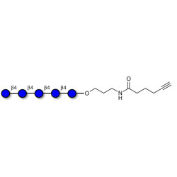 Cellopentaose with terminal alkyne (Linker-CΞCH C)