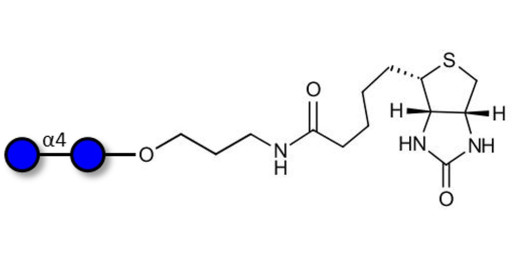 Maltose DP2 linked to biotin (Linker-BT B) - Maltooligosaccharide DP2