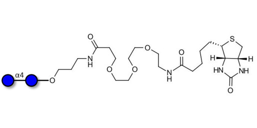 Maltose DP2 linked to biotin (Linker-BT C) - Maltooligosaccharide DP2