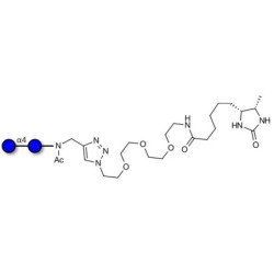 Maltose DP2 linked to desthiobiotin (Linker-DBT-A)