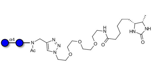 Maltose DP2 linked to desthiobiotin (Linker-DBT-A) - Maltooligosaccharide DP2