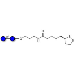 Maltose DP2 with cyclic di-thiol (Linker-LIPO A)
