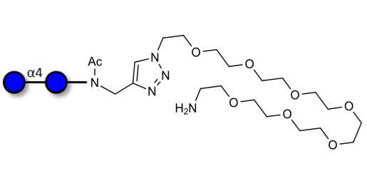 Maltose DP2 with free terminal amine (Linker-NH2 C) - Maltooligosaccharide DP2