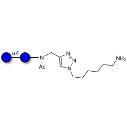 Maltose DP2 with free terminal amine (Linker-NH2 D)