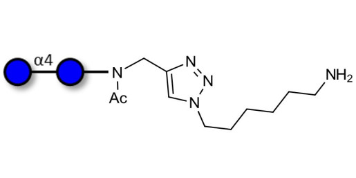 Maltose DP2 with free terminal amine (Linker-NH2 D) - Maltooligosaccharide DP2