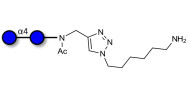 Maltose DP2 with free...
