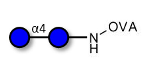 Maltose DP2 grafted on OVA - Maltooligosaccharide DP2