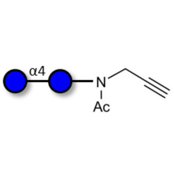 Maltose DP2 with terminal alkyne (Linker-CΞCH A)