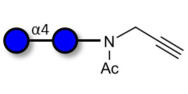 Maltose DP2 with terminal...