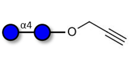 Maltose DP2 with terminal alkyne (Linker-CΞCH B) - Maltooligosaccharide DP2