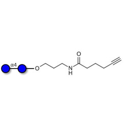 Maltose DP2 with terminal alkyne (Linker-CΞCH C)