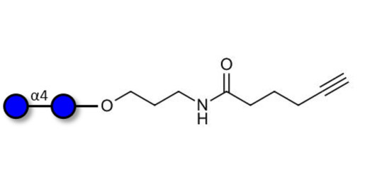 Maltose DP2 with terminal alkyne (Linker-CΞCH C) - Maltooligosaccharide DP2