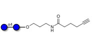 Maltose DP2 with terminal...