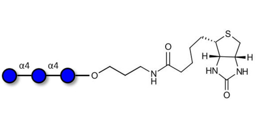 Maltotriose DP3 linked to biotin (Linker-BT B)