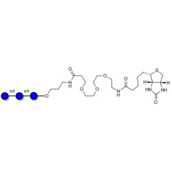 Maltotriose DP3 linked to biotin (Linker-BT C)