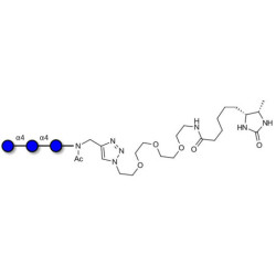 Maltotriose DP3 linked to desthiobiotin (Linker-DBT-A)