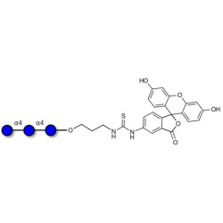 Maltotriose DP3 linked to fluorescein (Linker-FLUO A)