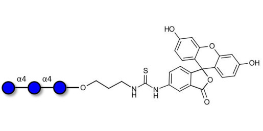 Maltotriose DP3 linked to fluorescein (Linker-FLUO A)