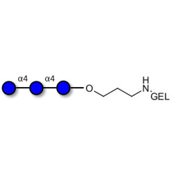 Maltotriose DP3 grafted on gel for affinity chromatography (Linker-GEL B)