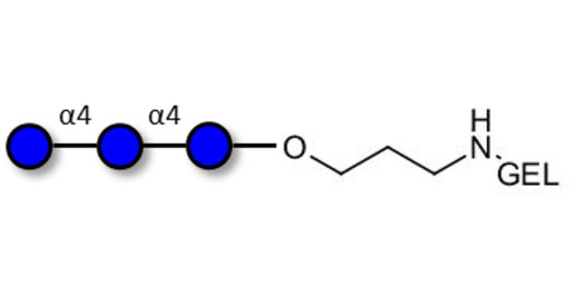 Maltotriose DP3 grafted on gel for affinity chromatography (Linker-GEL B)