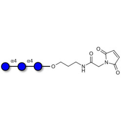 Maltotriose DP3 linked to maleimide (Linker-MAL A)