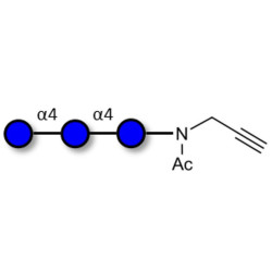 Maltotriose DP3 with terminal alkyne (Linker-CΞCH A)