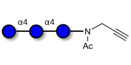 Maltotriose DP3 with terminal alkyne (Linker-CΞCH A)