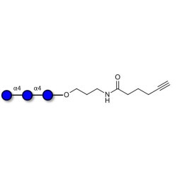 Maltotriose DP3 with terminal alkyne (Linker-CΞCH C)