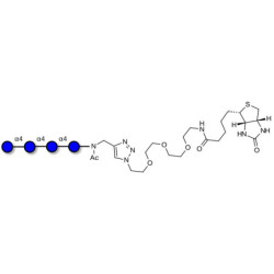 Maltotetraose DP4 linked to biotin (Linker-BT A)