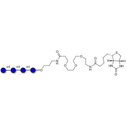 Maltotetraose DP4 linked to biotin (Linker-BT C)