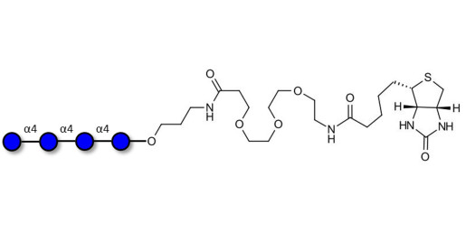 Maltotetraose DP4 linked to biotin (Linker-BT C)