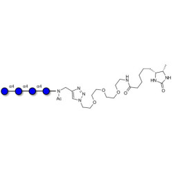Maltotetraose DP4 linked to desthiobiotin (Linker-DBT-A)