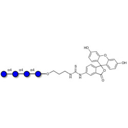 Maltotetraose DP4 linked to fluorescein (Linker-FLUO A)