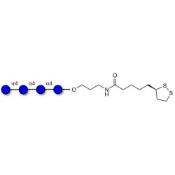 Maltotetraose DP4 with cyclic di-thiol (Linker-LIPO A)