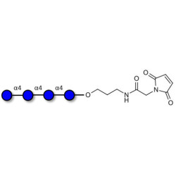 Maltotetraose DP4 linked to maleimide (Linker-MAL A)