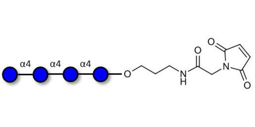Maltotetraose DP4 linked to maleimide (Linker-MAL A)