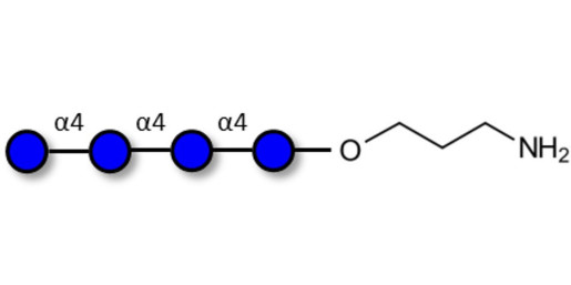 Maltotetraose DP4 with free terminal amine (Linker-NH2 A)