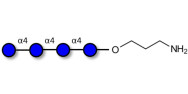 Maltotetraose DP4 with free...