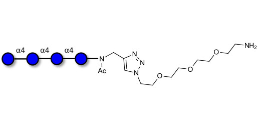 Maltotetraose DP4 with free terminal amine (Linker-NH2 B)
