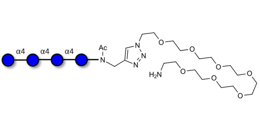 Maltotetraose DP4 with free terminal amine (Linker-NH2 C)