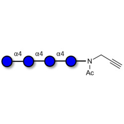 Maltotetraose DP4 with terminal alkyne (Linker-CΞCH A)