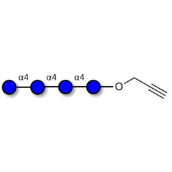 Maltotetraose DP4 with terminal alkyne (Linker-CΞCH B)