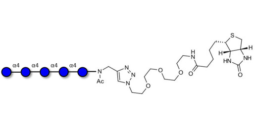 Maltopentaose DP5 linked to biotin (Linker-BT A)
