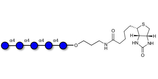 Maltopentaose DP5 linked to biotin (Linker-BT B)