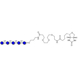 Maltopentaose DP5 linked to biotin (Linker-BT C)