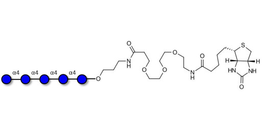 Maltopentaose DP5 linked to biotin (Linker-BT C)