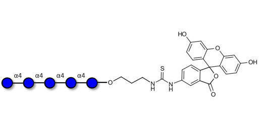 Maltopentaose DP5 linked to fluorescein (Linker-FLUO A)
