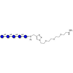 Maltopentaose DP5 grafted on gel for affinity chromatography (Linker-GEL A)