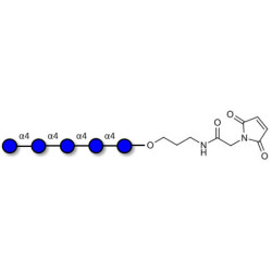 Maltopentaose DP5 linked to maleimide (Linker-MAL A)