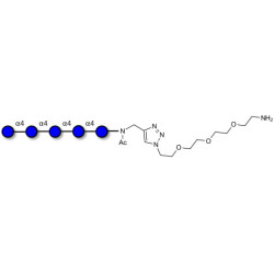 Maltopentaose DP5 with free terminal amine (Linker-NH2 B)